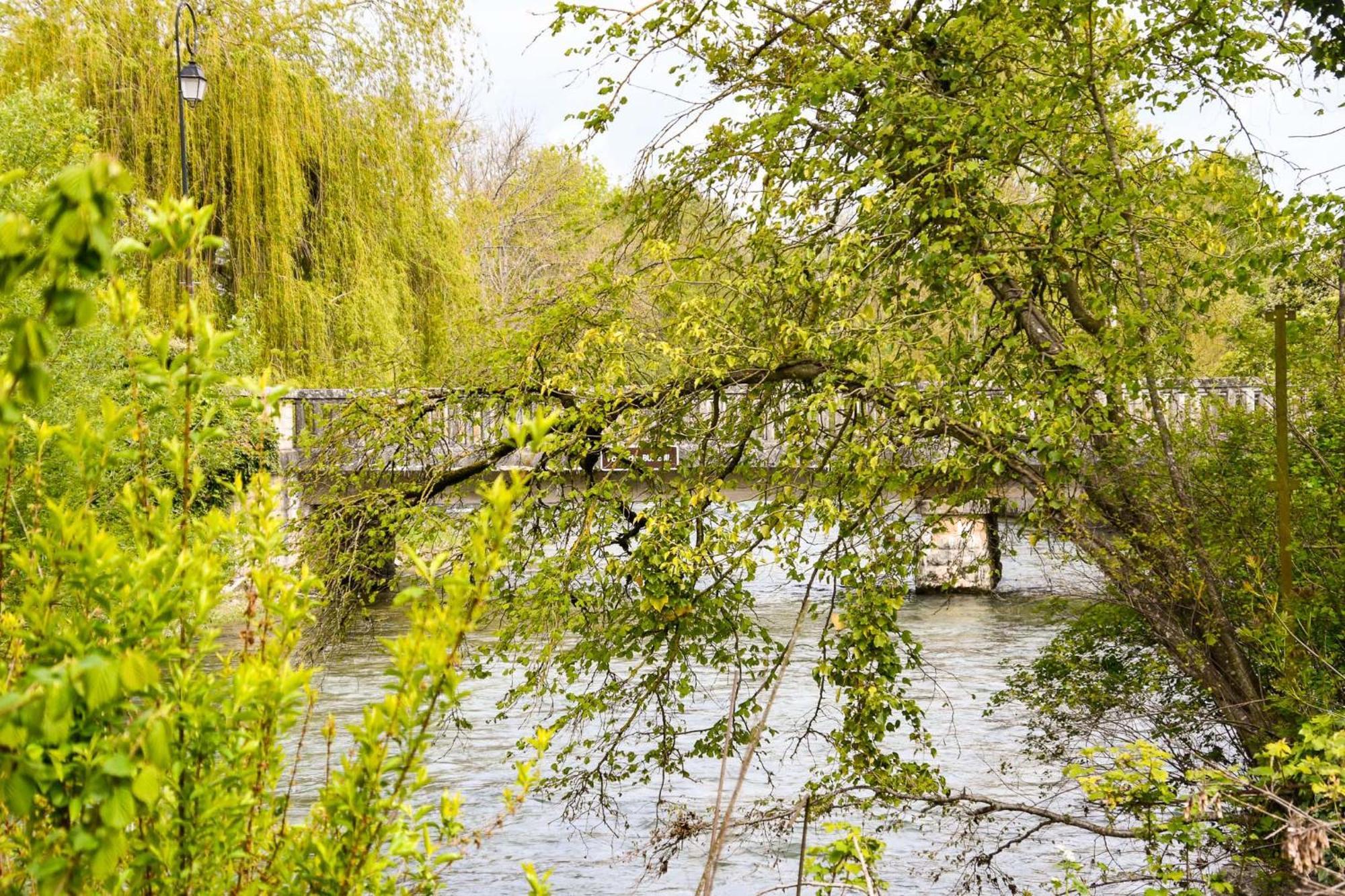 Les Rives Champenoises - Villa De Charme Et Spa Buxeuil  Luaran gambar